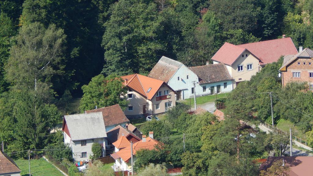 Olt-Part Vendeghaz Hotell BaileTusnad Eksteriør bilde